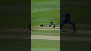 Virat Kohli’s most beautiful cover drive  Virat cover drive viratkohli cricket coverdrive rcb [upl. by Sualocin]