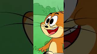 Chaos Painting  Tom amp Jerry NEW Cartoon  Cartoonito Africa [upl. by Damalus557]