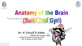 Anatomy of Cerebrum  Dr Yusuf [upl. by Marc]