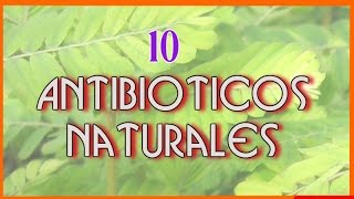 10 Increibles Antibióticos Naturales Que te Ayudaran a Enfrentar a Las Infecciones [upl. by Teplica]