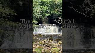 One of the easiest waterfall walks in the Yorkshire Dales 🙌❤️ shorts travel [upl. by Nottirb943]