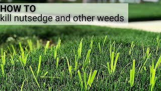 Easily Kill Nutsedge and Other Weeds [upl. by Oninrutas]