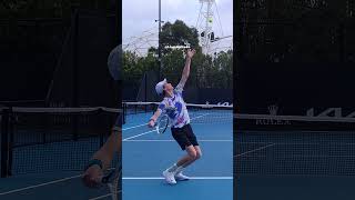 Does Jannik Sinner have a better pinpoint VS platform stance serve 📌👆 🚉 [upl. by Vey528]