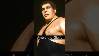 The Life and Death of Andre the Giant [upl. by Einhpad278]