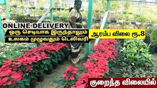 வெறும் 7 ரூபாய்க்கே செடி ஆன்லைனில் கிடைக்கும் GR Nursery salem onlinedelivery trending shopping [upl. by Enaz]