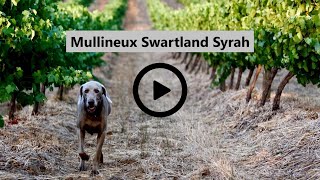 Video Tasting Note Mullineux Syrah [upl. by Ruhl196]