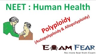 NEET Biology Human Health  Polyploidy autopolyploidy and Allopolyploidy [upl. by Lola]