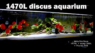 Akwarium z Dyskowcami 1470L 300x70x70cm An aquarium with discus fish [upl. by Ailenroc949]