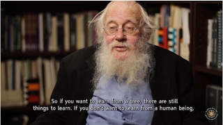 Lessons from a tree with Rabbi Steinsaltz [upl. by Nuhsed]