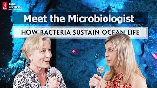 From Hydrothermal Vents to Cold Seeps How Bacteria Sustain Ocean Life  Meet the Microbiologist [upl. by Sillsby]