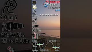 6am on 1 August 2024 Baitfish in the Backline at North Beach Durban [upl. by Heathcote]