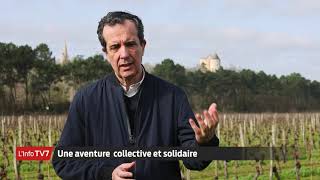 Buzet un vignoble engagé pour la biodiversité et contre le réchauffement climatique [upl. by Hsatan]