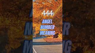 What Is 444 Angel Number Meaning youtubeshorts [upl. by Nyluqcaj]