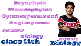 Bryophyte Pteridophytes Gymnosperms and Angiosperms NCERT biology Class 11th By Atul sir [upl. by Patrizius]