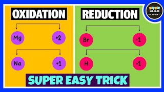 Oxidation and Reduction Reactions [upl. by Killion]