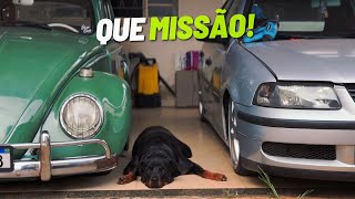 VIDEO NA GARAGEM  TIREI O CABEÇOTE DO GOL E ARRUMEI DETALHES DO FUSCA [upl. by Anivla]