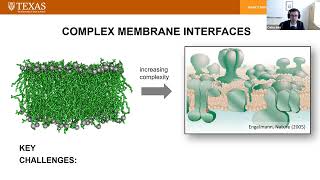 BuildaCell seminar Carlos Baiz Interfacial environments in synthetic membranes [upl. by Nolyk820]