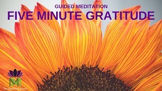 5 Minute Guided Meditation for Gratitude  Mindful Movement [upl. by Catlin]