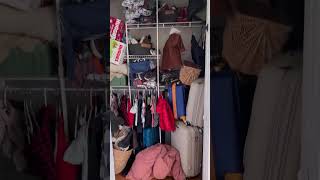 DIY Reachin Closet Makeover See Before and After Transformation [upl. by Eanwahs]