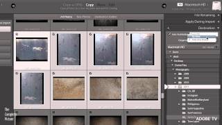 Lightroom 3  Two Ways to Import Photographs [upl. by Anawk]