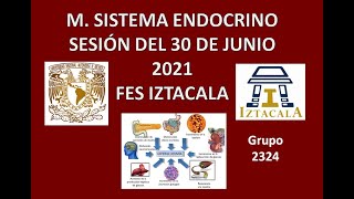 M Sistema Endocrino Sesión del Miércoles 30 de Junio del 2021 [upl. by Barboza479]