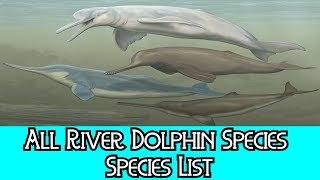 All River Dolphin Species  Species List [upl. by Ecam]