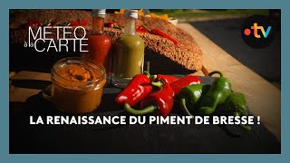 La renaissance du piment de Bresse [upl. by Ihcego]