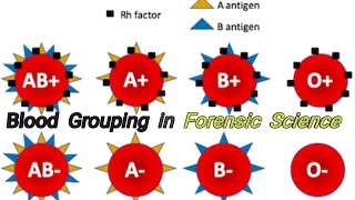 Blood grouping in Forensic ScienceBlood group and Paternity Testing [upl. by Netty]