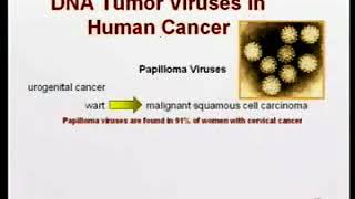 321 Oncogenic viruses DNA tumor viruses  Medical Microbiology [upl. by Yorztif]