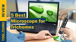 Best Microscope for Trichomes In 2024 [upl. by Agemo427]