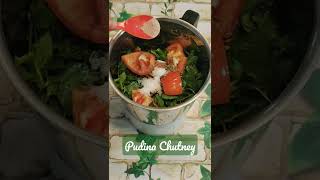 Pudina Chutney  Mint Chutney  Mint Leaves Chutney  Summer Special Recipe pudinachutney [upl. by Uziel818]