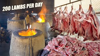 RARE SEEN Mountain BBQ Factory in Uzbekistan  Street food in Samarkand Uzbekistan [upl. by Akehsal]