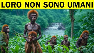 Scoperta Spaventosa In Congo Che Ha Terrorizzato Il Mondo [upl. by Fabian]