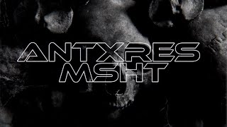 ANTXRES MSHT  Devastation Official Music Video [upl. by Oderfliw]