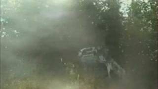 Petter Solberg crash  Rally Finland 2000 [upl. by Con70]