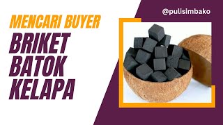 Tutorial Mencari Buyer Briket Batok Kelapa tutorial ekspor trademap [upl. by Aitrop]