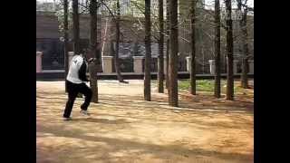 Jiang Style Baguazhang [upl. by Anaeerb515]