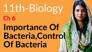 11th Class Biology CH 6  Importance amp Control of Bacteria  FSc Biology Part 1 [upl. by Annairba775]