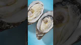 How Do Oysters Make Pearls 🤔 [upl. by Ahsakat]