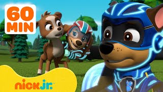 PAW Patrol Mighty Pups Ultimate Animal Rescues w Chase amp Liberty  1 Hour Compilation  Nick Jr [upl. by Haimarej]