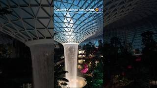 Changi Airport Singapore Worlds beautiful airport flight travelshortfeed shorts Saipallavi [upl. by Sophy]