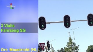 2 Vialis Fahrzeug Linksabbieger Signalgeber amp 1 Fahrzeug Rechtsabbieger Signalgeber [upl. by Anaile]