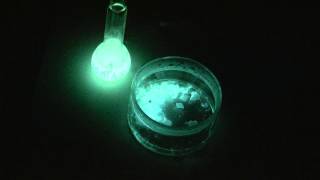 Luminol chemiluminescence [upl. by Neu]