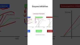 Competitiv Uncompetitive amp Noncompetitive inhibition tcml [upl. by Eremihc]