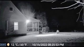 THIS IS THE MOST ALARMING FOOTAGE EVER CAPTURED ON A RING CAM [upl. by Conard]