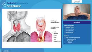 Liomed  Schilddrüse  Thyroidea [upl. by Suirada]