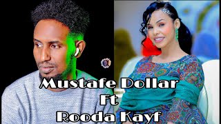 MUSTAFE DOLAR FT ROODA KAYF 2025 TANI HEES WAY DHAAFTAY PEST SONG MUSIC [upl. by Samoht]