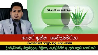 කෝමාරිකා ගැන මේ දේවල් දැනගෙන හිටියද  Aloe vera By Nutritionist Hiroshan Jayaranga [upl. by Llerdna]