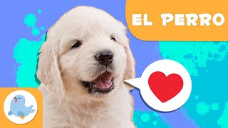 EL PERRO 🐶 Animales para niños 🏡 Episodio 15 [upl. by Gloria]