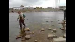 9th Street Dam and BridgeFishing for Salmon and how to get Free Fishing Tackle [upl. by Wil882]